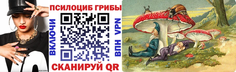 купить закладку  Шиханы  Псилоцибиновые грибы Magic Shrooms 